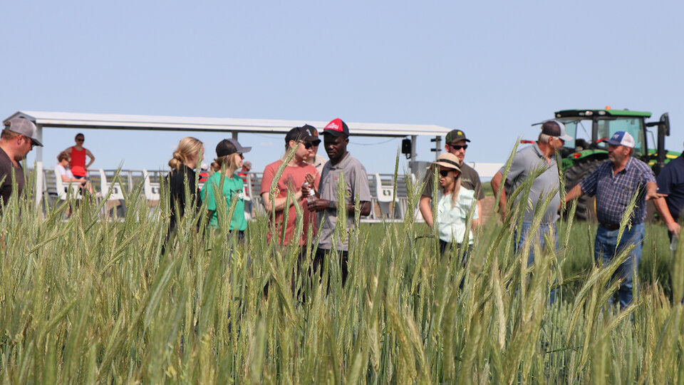 people in wheat at HPAL tour