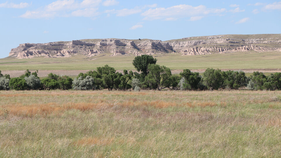 buttes with grass and trees in front