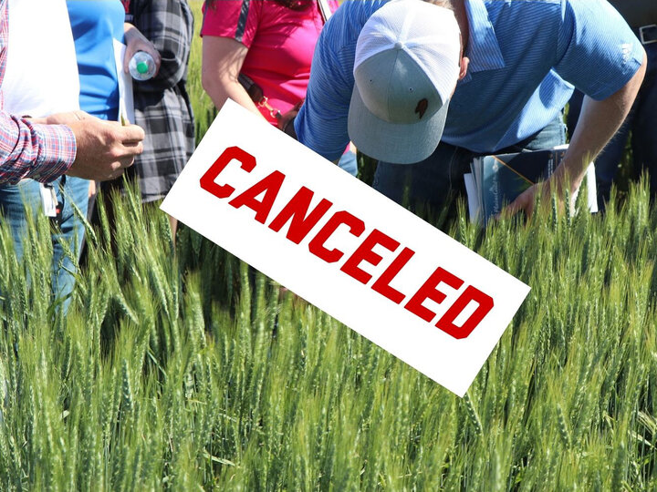 Group gathering in a field of wheat, with a bold "CANCELED" sign in red text.