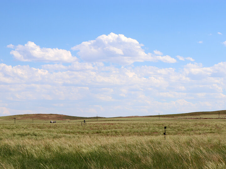 rangeland pasture with blue sky and white clouds