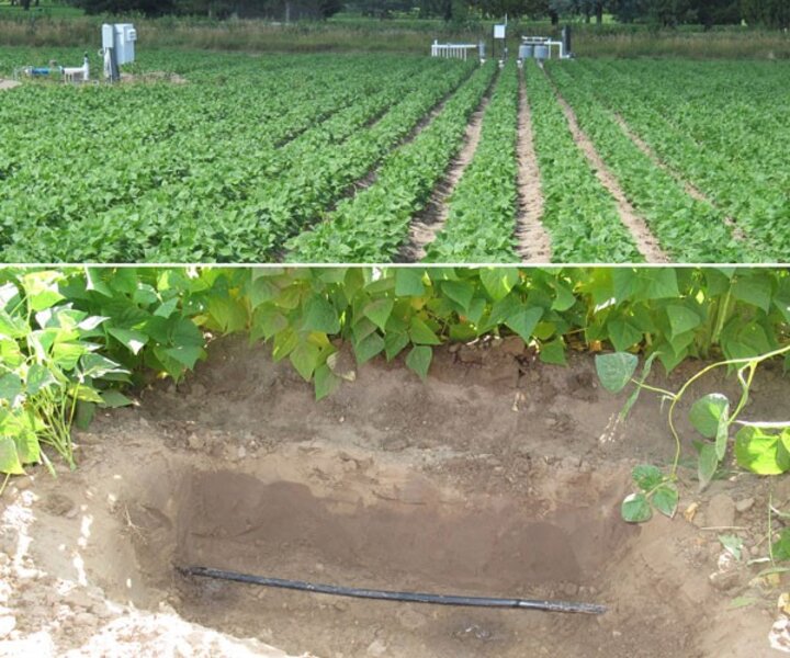 irrigation above and below ground