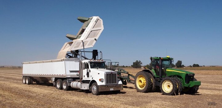 tractor unloads beans into truck bed