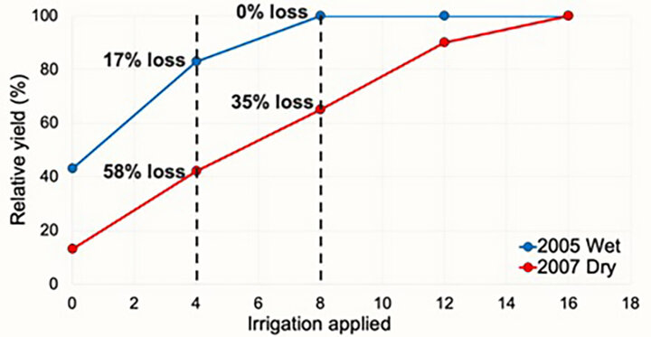 Relative yield vs. irrigation chart with 2005 wet and 2007 dry data showing yield loss percentages.
