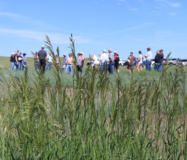 pasture tour with people in background